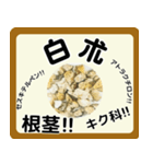 生薬スタンプ -薬学生-（個別スタンプ：15）