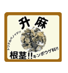 生薬スタンプ -薬学生-（個別スタンプ：17）
