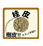 生薬スタンプ -薬学生-（個別スタンプ：19）