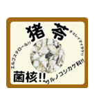 生薬スタンプ -薬学生-（個別スタンプ：23）