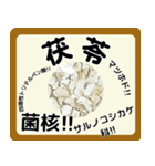 生薬スタンプ -薬学生-（個別スタンプ：24）