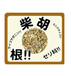 生薬スタンプ -薬学生-（個別スタンプ：26）