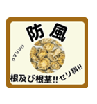 生薬スタンプ -薬学生-（個別スタンプ：29）