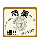 生薬スタンプ -薬学生-（個別スタンプ：35）