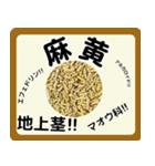 生薬スタンプ -薬学生-（個別スタンプ：36）