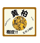 生薬スタンプ -薬学生-（個別スタンプ：38）