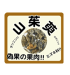 生薬スタンプ -薬学生-（個別スタンプ：40）