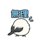 日常会話verシマエナガ（個別スタンプ：13）