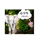 動物ダジャレスタンプ.com（個別スタンプ：14）