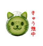 夏野菜の猫、フレッシュに一言（個別スタンプ：1）