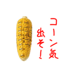 夏野菜の猫、フレッシュに一言（個別スタンプ：2）