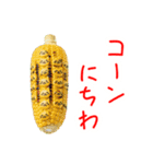 夏野菜の猫、フレッシュに一言（個別スタンプ：14）