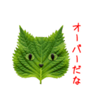 夏野菜の猫、フレッシュに一言（個別スタンプ：21）
