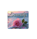 薔薇と海.英語筆記体.Roses and the Sea（個別スタンプ：21）
