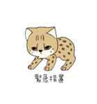 Crazyなサーバルと愉快な仲間たち（個別スタンプ：5）