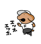 こいぬラン（個別スタンプ：13）