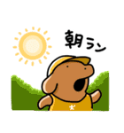 こいぬラン（個別スタンプ：15）