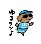こいぬラン（個別スタンプ：17）