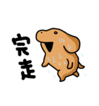 こいぬラン（個別スタンプ：19）