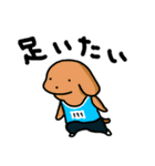 こいぬラン（個別スタンプ：24）