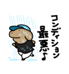 こいぬラン（個別スタンプ：27）