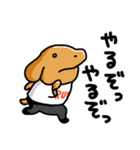 こいぬラン（個別スタンプ：29）