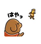 こいぬラン（個別スタンプ：30）