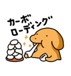 こいぬラン（個別スタンプ：31）