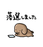 こいぬラン（個別スタンプ：34）
