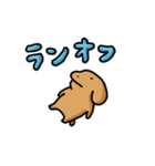 こいぬラン（個別スタンプ：35）