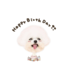 ハニちゃん♡deformation（個別スタンプ：12）