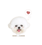 ハニちゃん♡deformation（個別スタンプ：16）