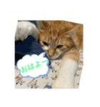 まるみるスタンプ1（個別スタンプ：3）