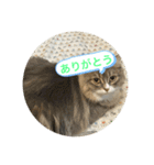 まるみるスタンプ1（個別スタンプ：7）