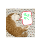 まるみるスタンプ1（個別スタンプ：16）