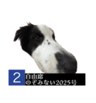 へんな犬くんたちスタンプ（個別スタンプ：5）