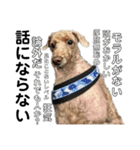 へんな犬くんたちスタンプ（個別スタンプ：16）