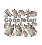 へんな犬くんたちスタンプ（個別スタンプ：18）