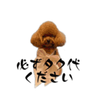 へんな犬くんたちスタンプ（個別スタンプ：19）