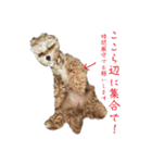 へんな犬くんたちスタンプ（個別スタンプ：22）
