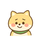 感情豊かな柴ちゃんスタンプ（個別スタンプ：9）