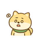 感情豊かな柴ちゃんスタンプ（個別スタンプ：16）