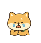 柴犬の平常心装い崩壊中（個別スタンプ：4）