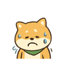 柴犬の平常心装い崩壊中（個別スタンプ：7）