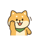 柴犬の平常心装い崩壊中（個別スタンプ：9）