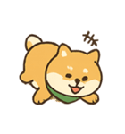 柴犬の平常心装い崩壊中（個別スタンプ：11）