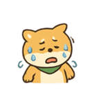 柴犬の平常心装い崩壊中（個別スタンプ：14）