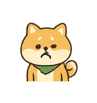 柴犬の平常心装い崩壊中（個別スタンプ：20）