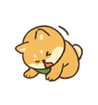 柴犬の平常心装い崩壊中（個別スタンプ：22）