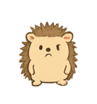 はじけるハリネズミ（個別スタンプ：1）